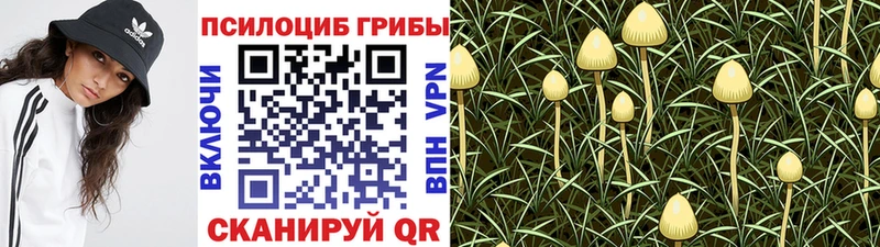 Галлюциногенные грибы GOLDEN TEACHER  купить наркотик  Североуральск 